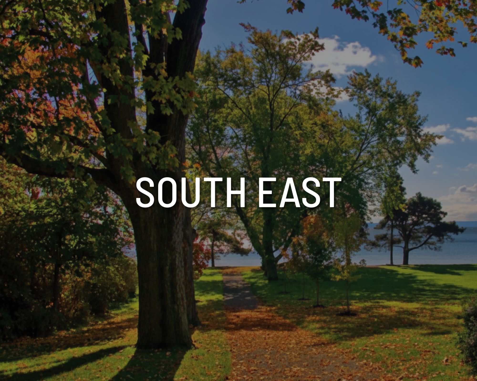 4. miller davies - South East