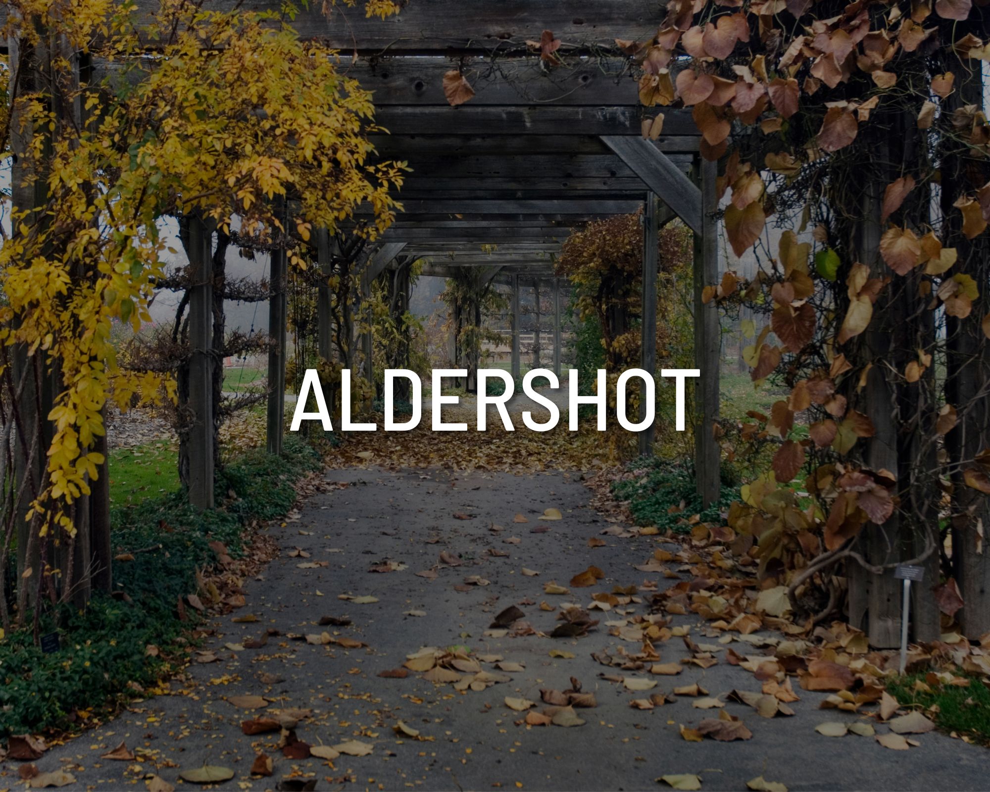 5. miller davies - Aldershot