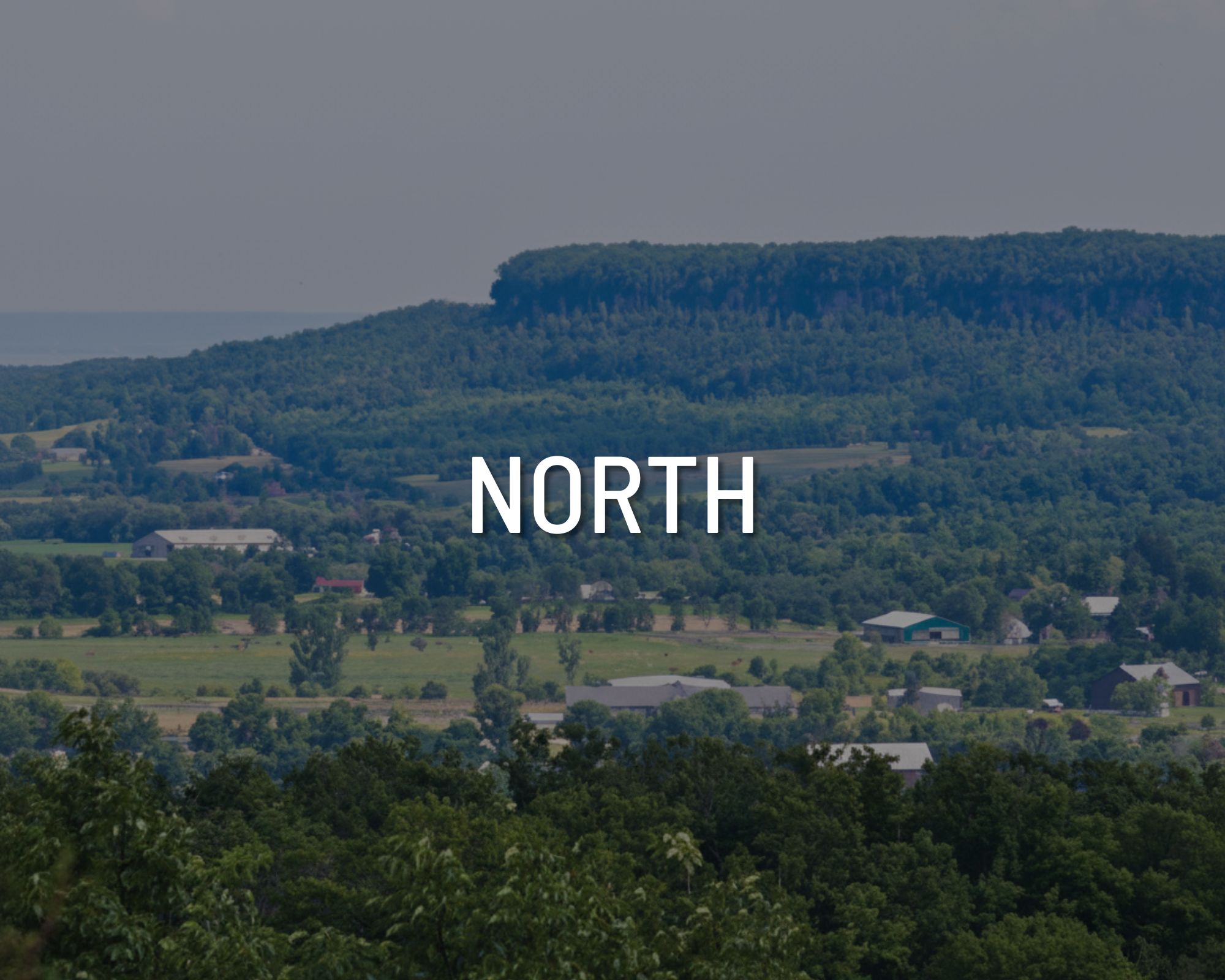 6. miller davies - North