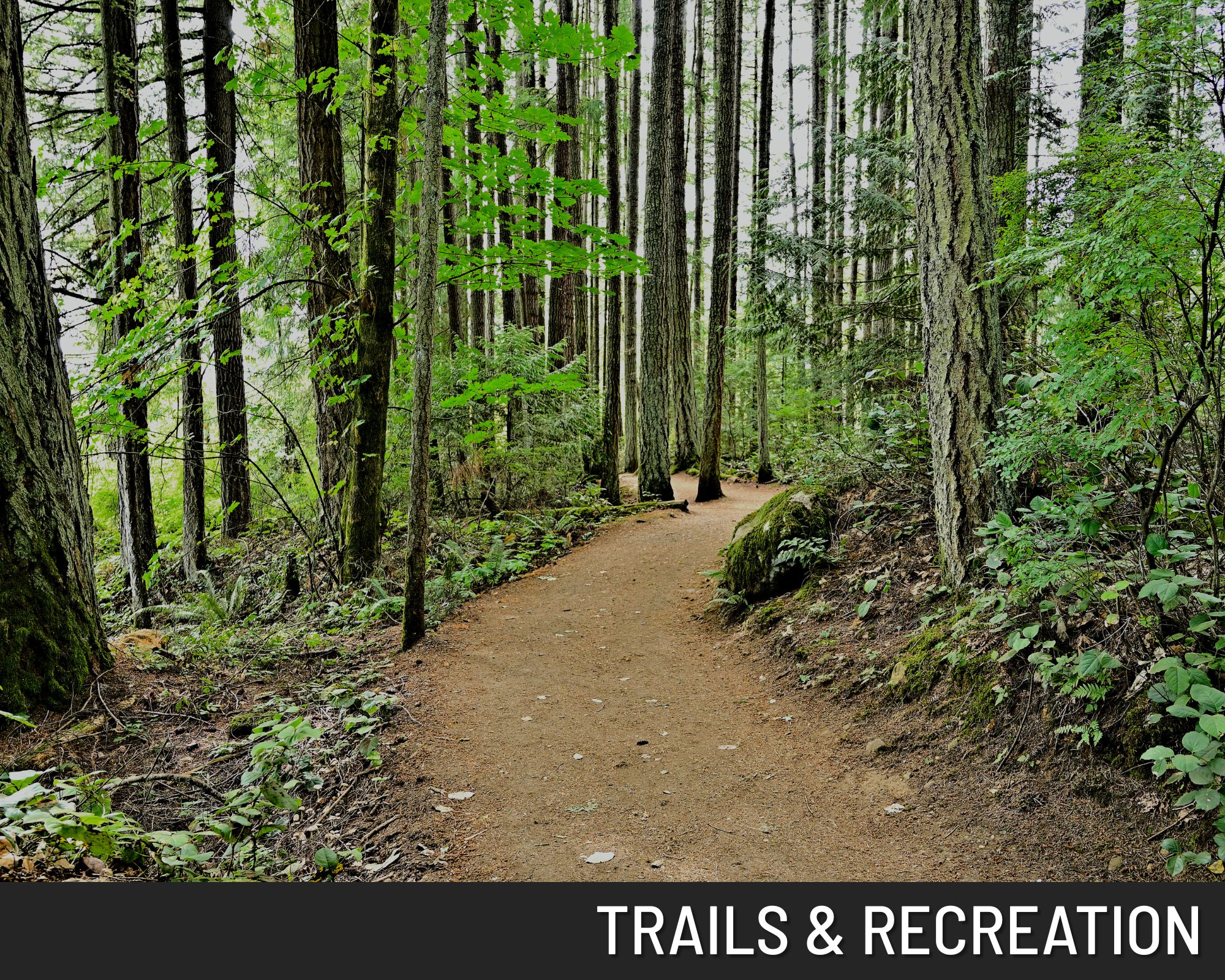 miller davies - Midtown - Trails & Recreation