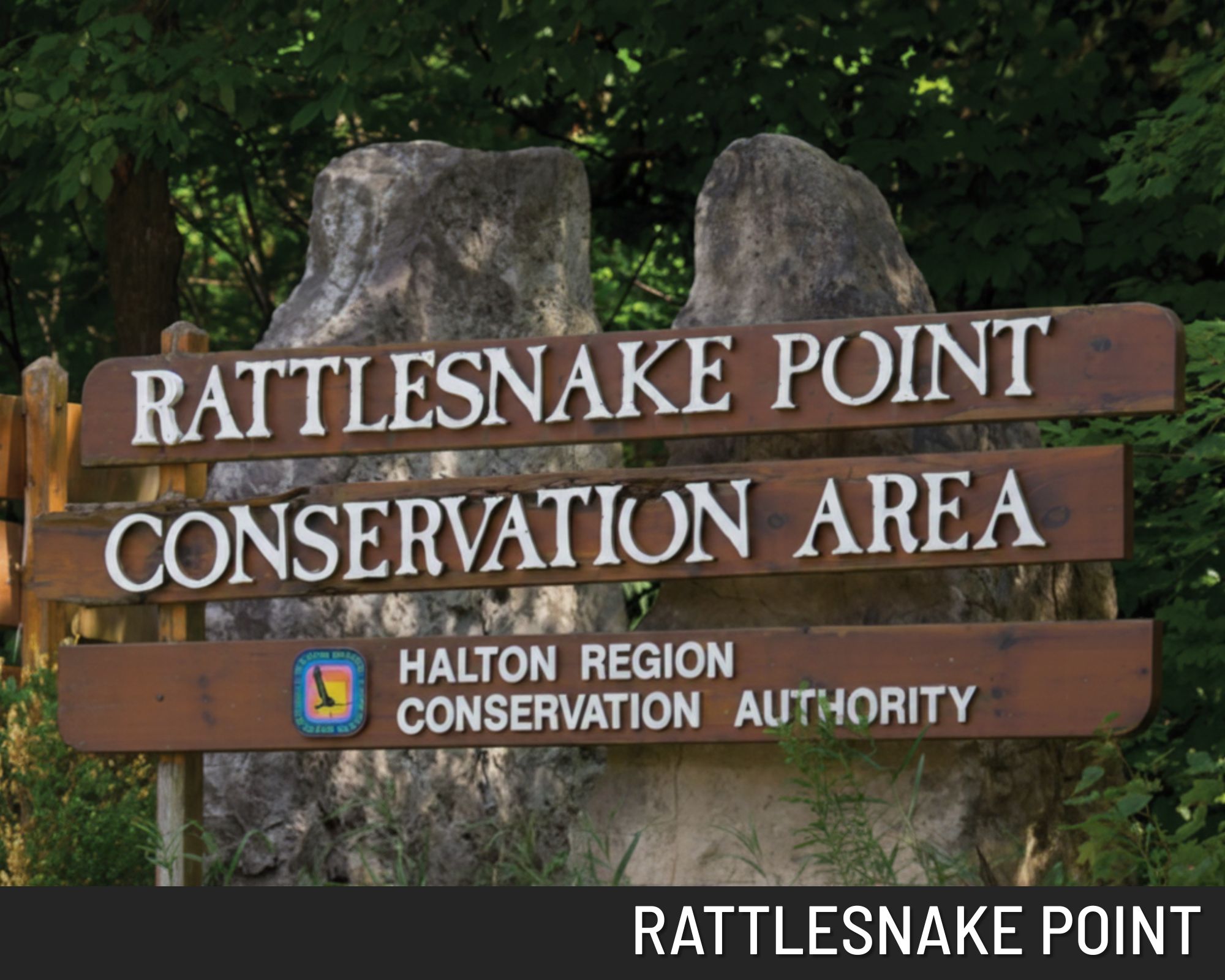 miller davies - North - Rattlesnake Point